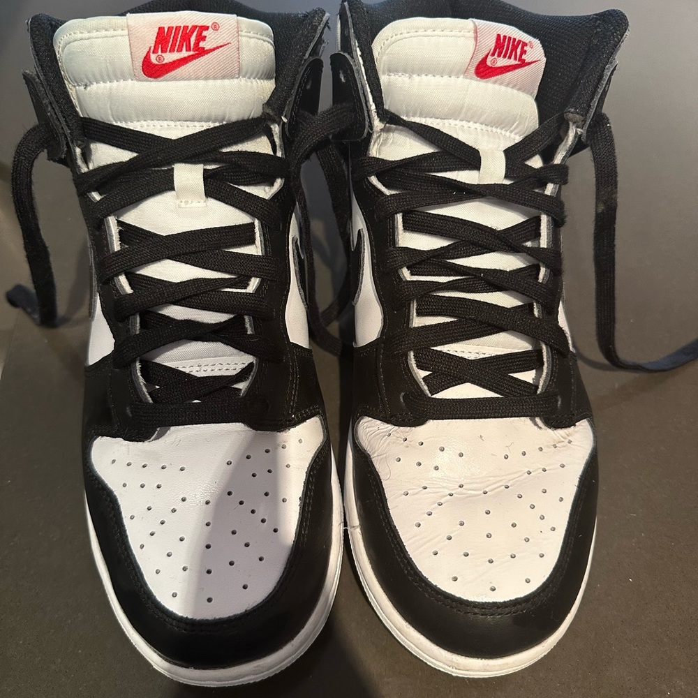 Nike 8.5 Dunk highs